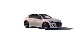 PEUGEOT E 208 ELECTRIC HATCHBACK at Pratt & Gelsthorpe Newark